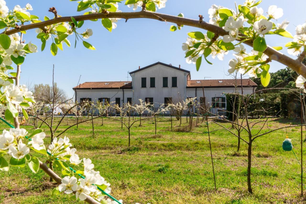 Agriturismo Ca' Baccan Каваллино Экстерьер фото