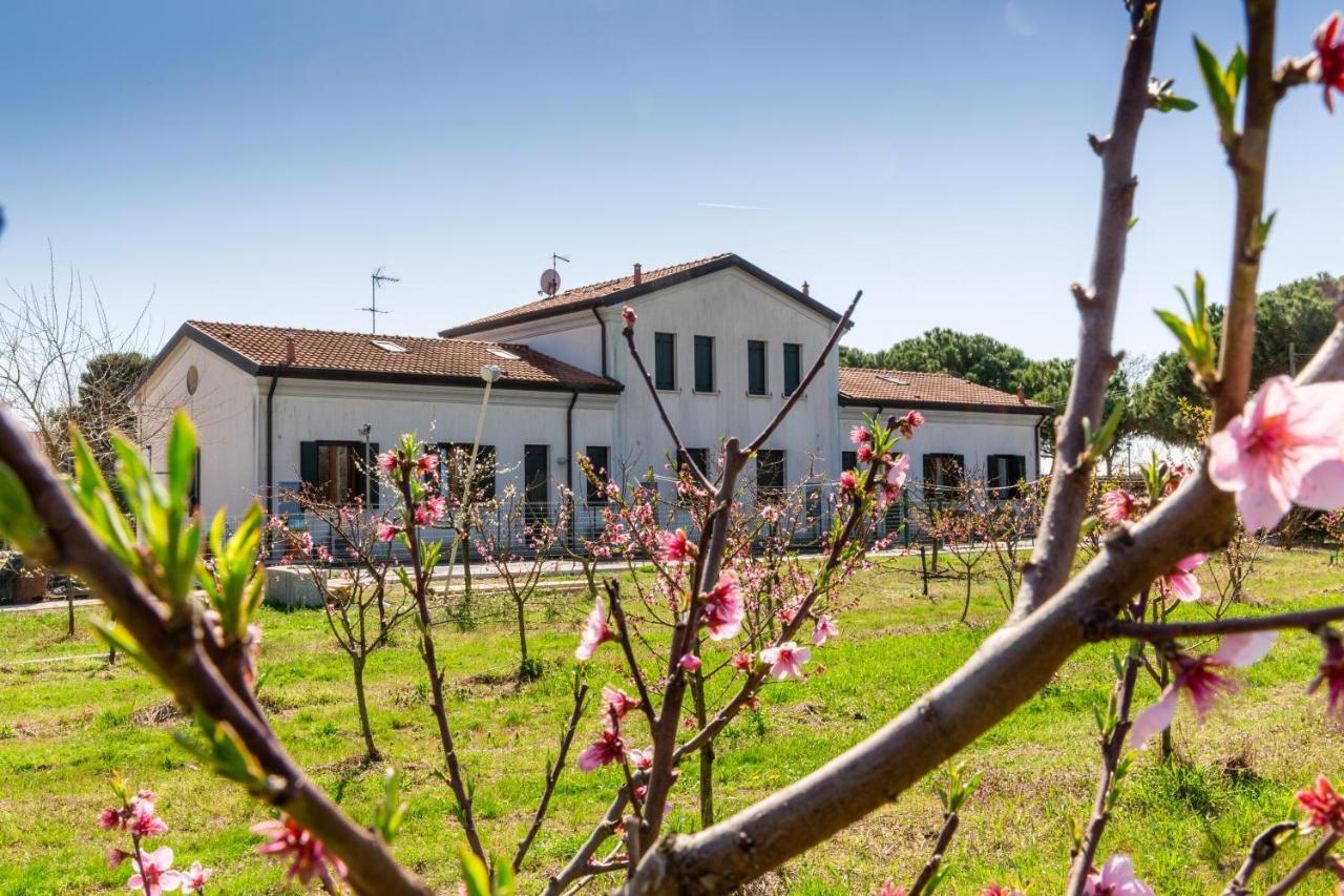 Agriturismo Ca' Baccan Каваллино Экстерьер фото